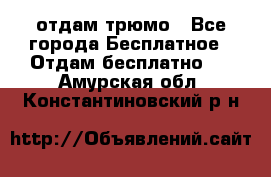 отдам трюмо - Все города Бесплатное » Отдам бесплатно   . Амурская обл.,Константиновский р-н